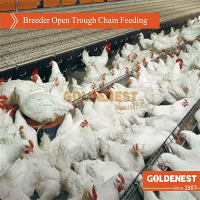 Hot Sale Breeder Systém řetězového krmení s otevřeným žlabem