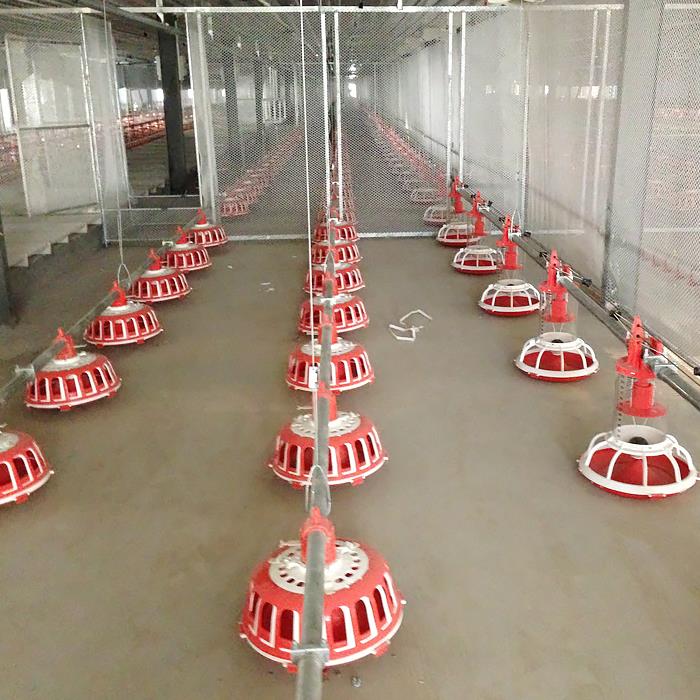 Goldenest Breeder Farming Chain Disc and OpenTrough Chain Feeding Line