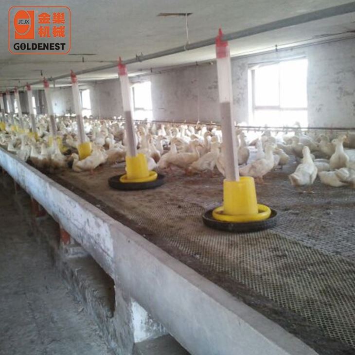 Goldenest Plastic Manual Duck Goose Feeder